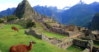 Machu Picchu (Photo Credit: Fexplorer from Pixabay)