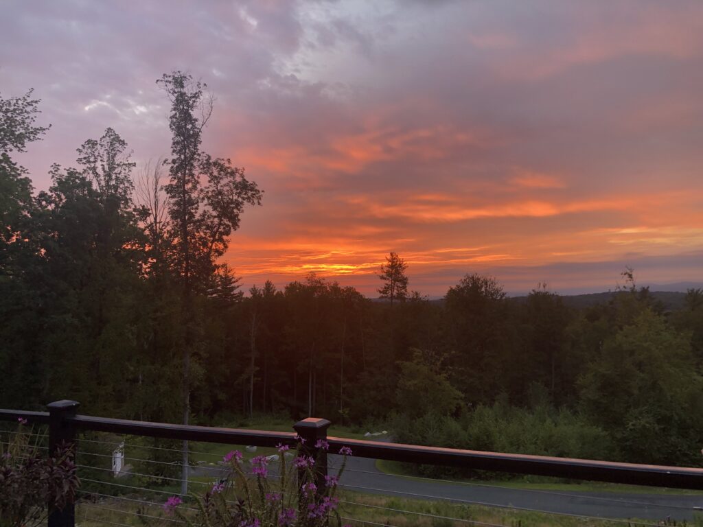 Backyard view as the sun rises over Downton Valley