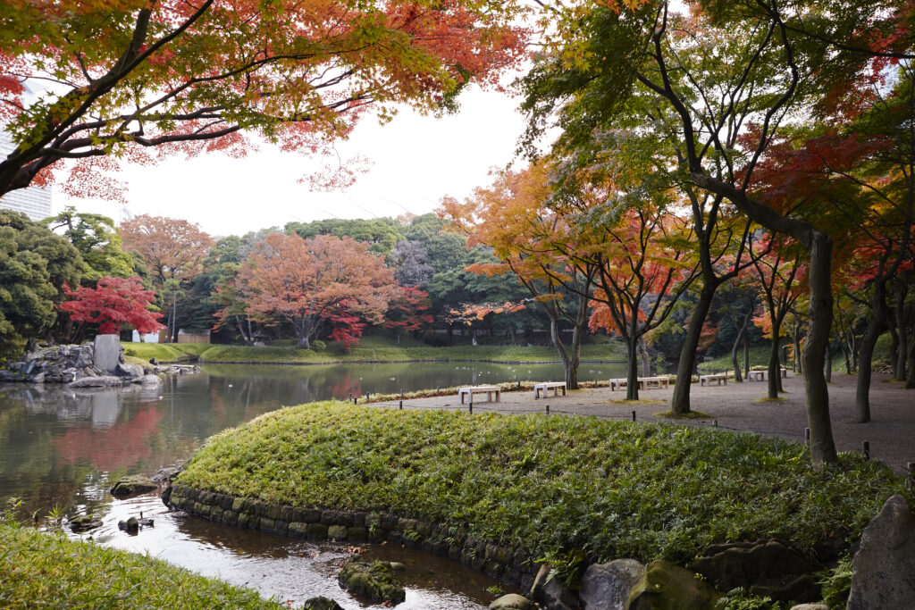 Rikugi-en Gardens (Photo Credit: ©Tokyo Convention & Visitors Bureau)