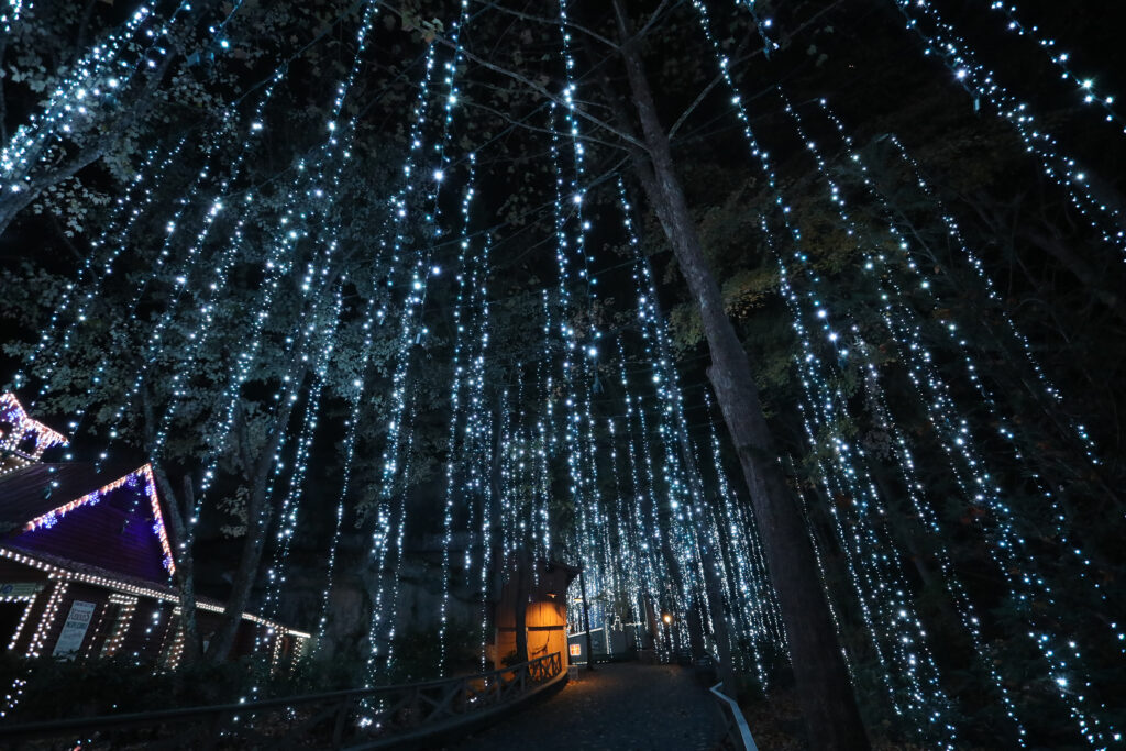 Glacier Ridge (Photo Credit: Dollywood)