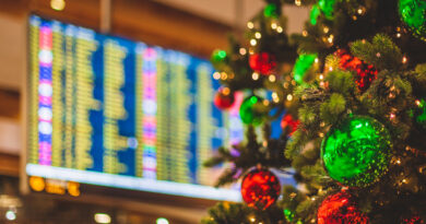 Airport with a Christmas tree in the forefront (Photo Credit: iStock)