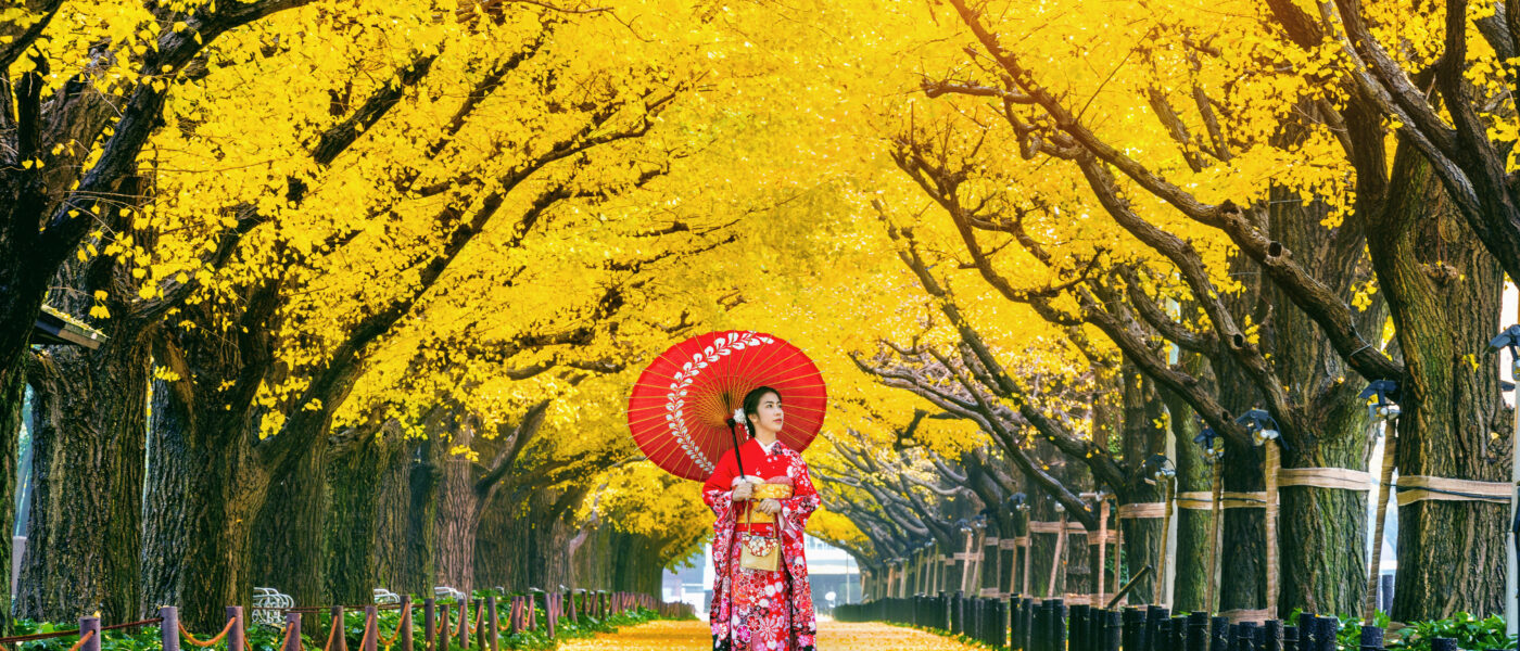 Giesha Girl strolling in canvas of trees with bright yellow leaves (Photo Credit: Shutterstock)