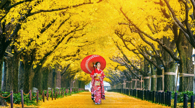 Giesha Girl strolling in canvas of trees with bright yellow leaves (Photo Credit: Shutterstock)