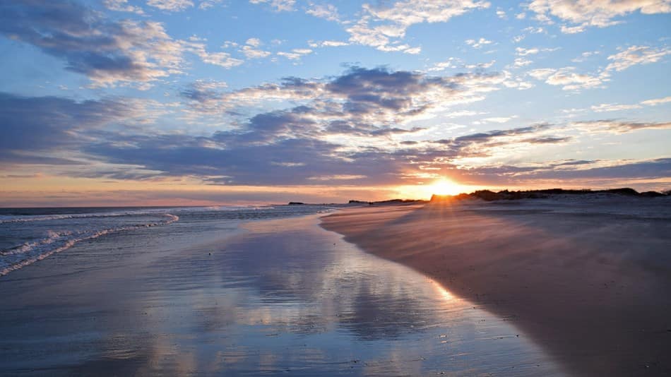 The Pines Beach, Fire Island, New York