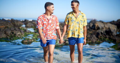 Gay men holding hands and walking on a beach
