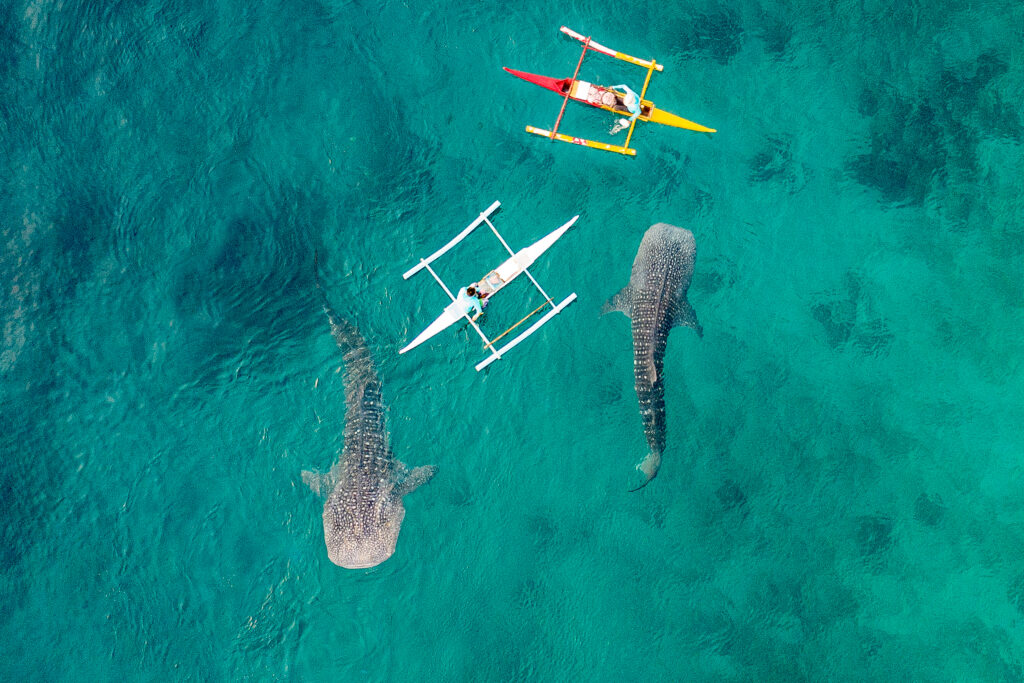 Cebu, Philippines (Photo Credit: Shutterstock)