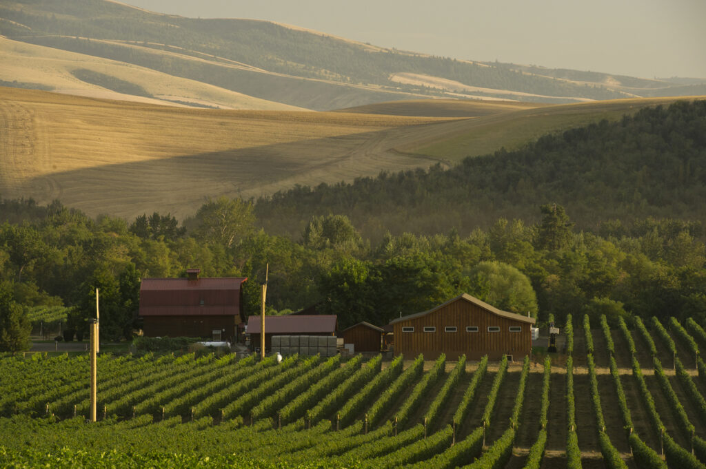 Walla Walla Vinters is known for its critically acclaimed Cabernet Franc and Sangiovese. (Photo Credit: Visit Walla Walla)