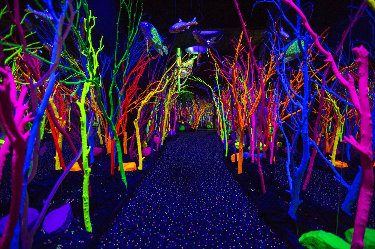 Meow Wolf (Photo Credit: Tourism Santa Fe)