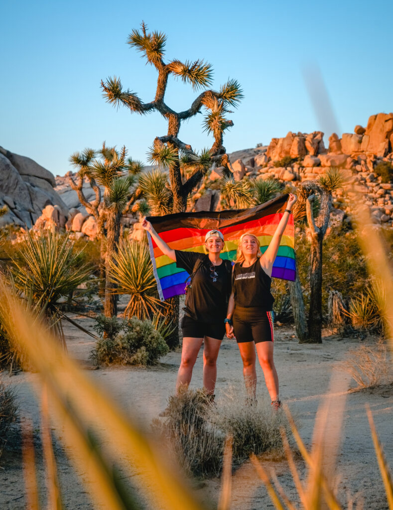 Joshua Tree National Park in California (Photo Credit: @itschrisandalex)