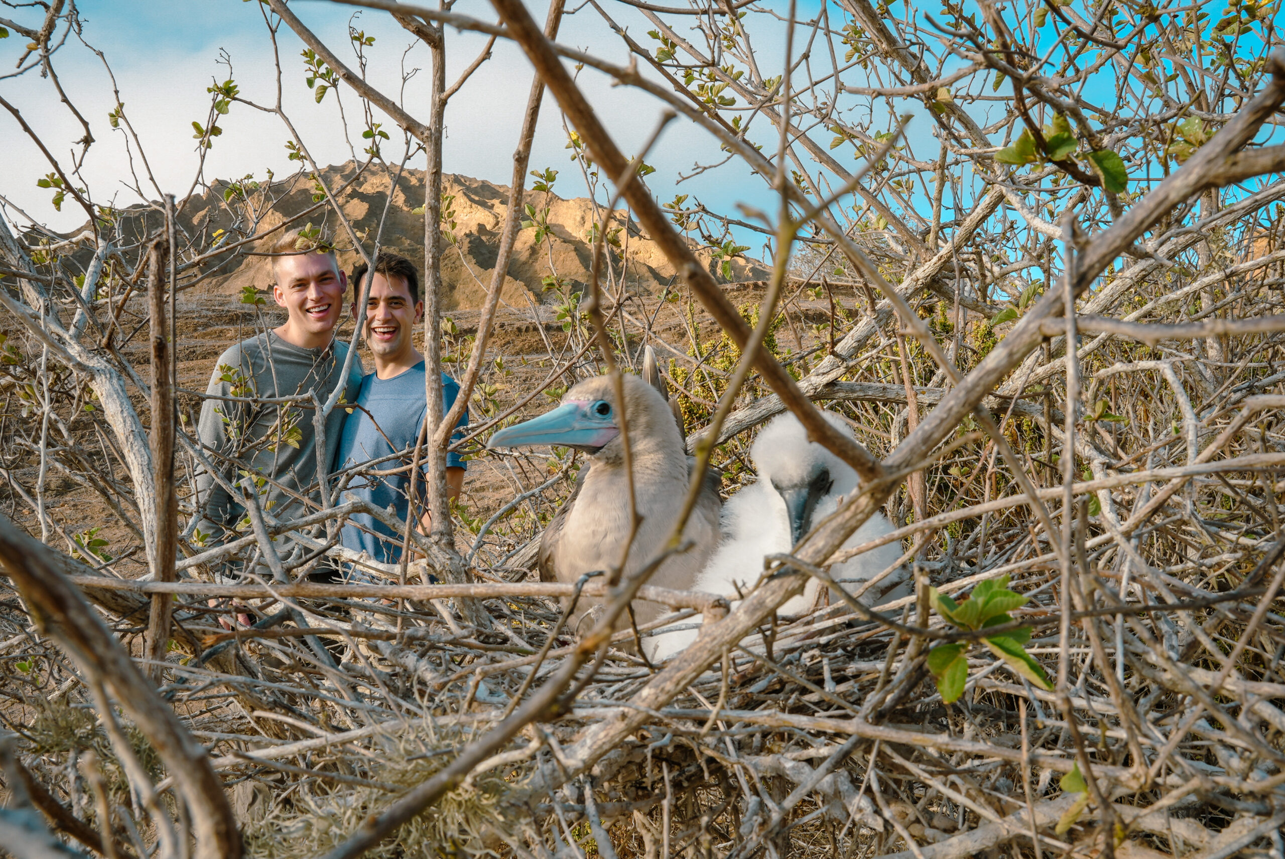 A Blue-footed Boobie and its newly hatched chick on Punta Pitt (Photo Credit: David Ballesteros for Hurtigruten Expeditions)