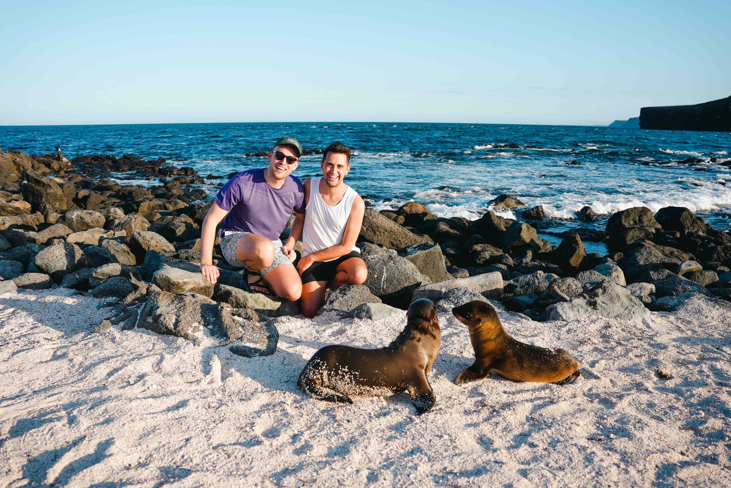 Baby Sea Lions in the Mosquera Islet, Home to one of the Largest Colonies of Sea Lions in the Galápagos (Photo Credit: Hurtigruten Expeditions)