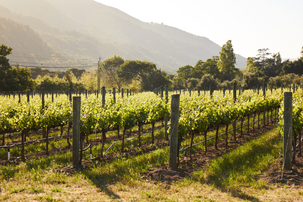 Bernardus Winery in Carmel Valley (Photo Credit: Amanda Friedman)