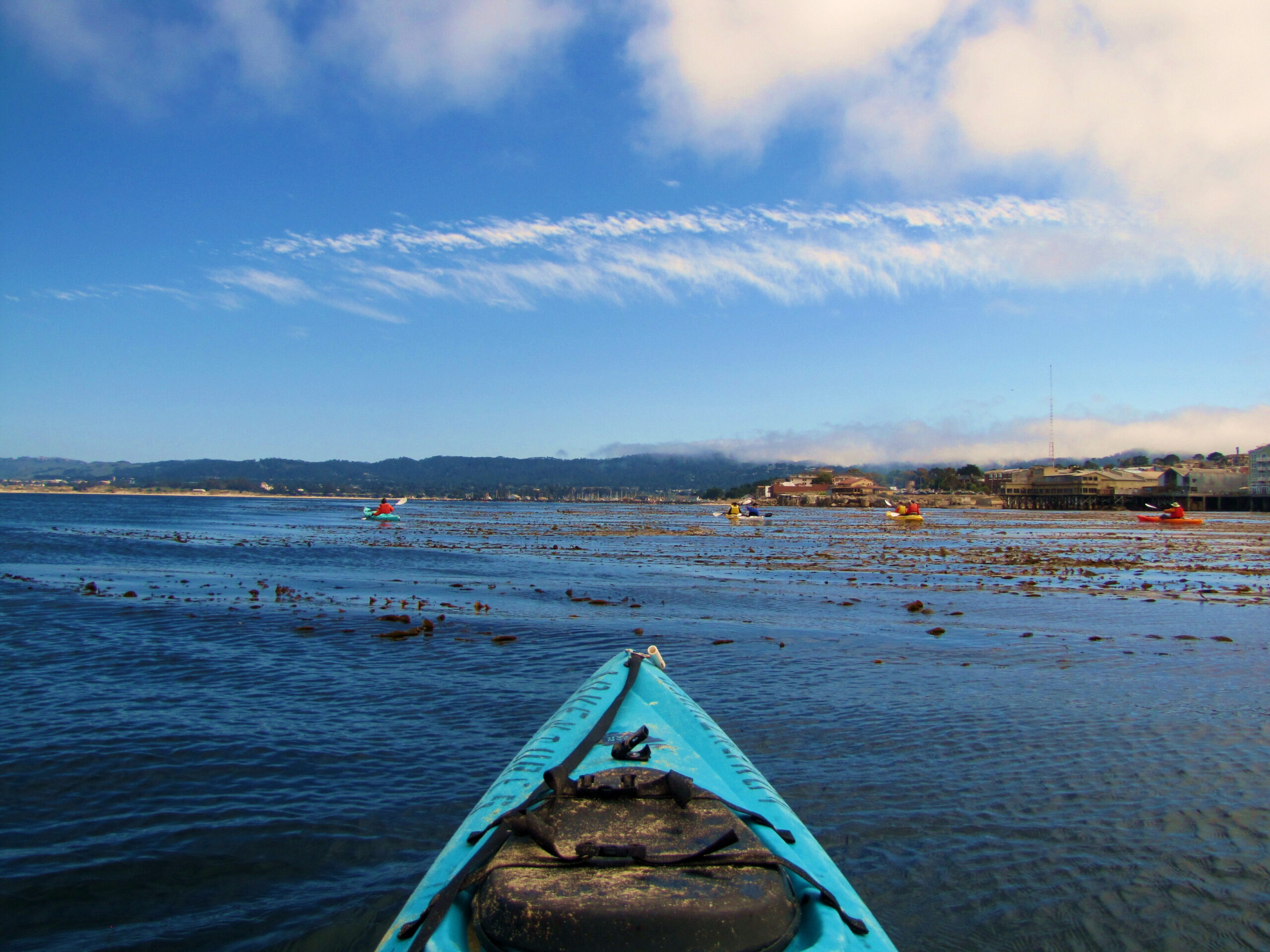 Kayaking in Monterey (Photo Credit: SeeMonterey.com)