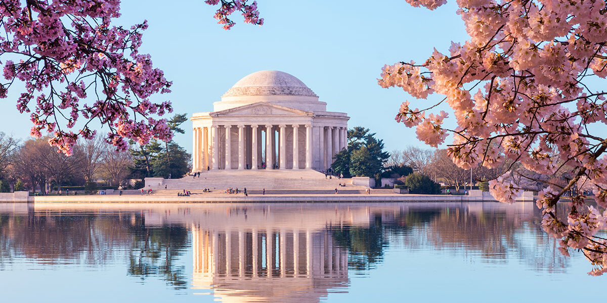 Cherry Blossom Trees near the Jefferson Memorial in Washignton, DC (Photo Credit: Steve Heap / Shutterstock)