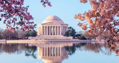 Cherry Blossom Trees near the Jefferson Memorial in Washignton, DC (Photo Credit: Steve Heap / Shutterstock)