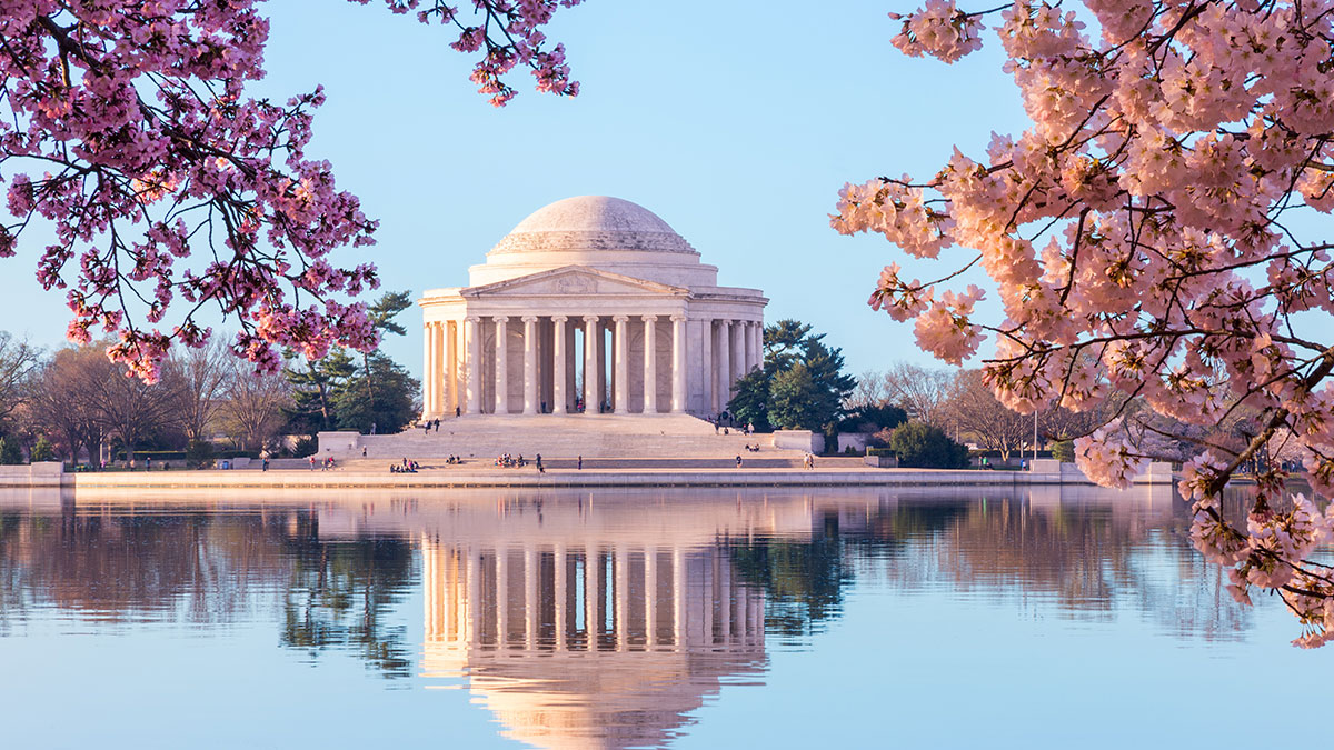 Spring Hotel Packages for the National Cherry Blossom Festival
