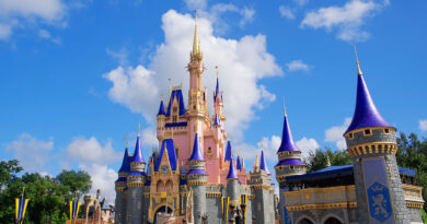 Cinderella Castle, Disney World - Orlando, Florida (Photo Credit: Brian McGowan on Unsplash)