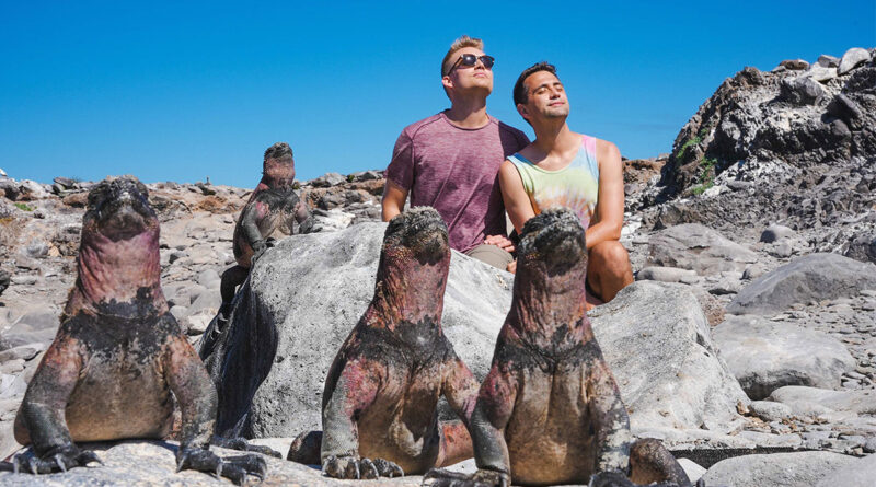 Marine Iguanas on Española Island (Photo Credit: David Ballesteros for Hurtigruten Expeditions)