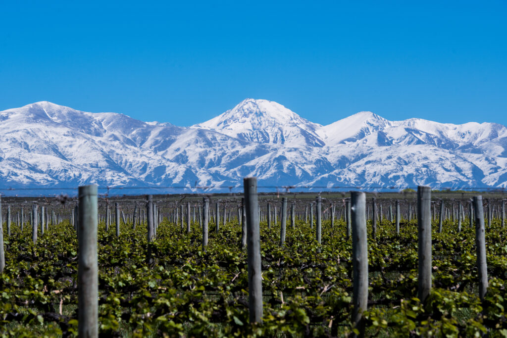 Mendoza (Photo Credit: Visit Argentina)