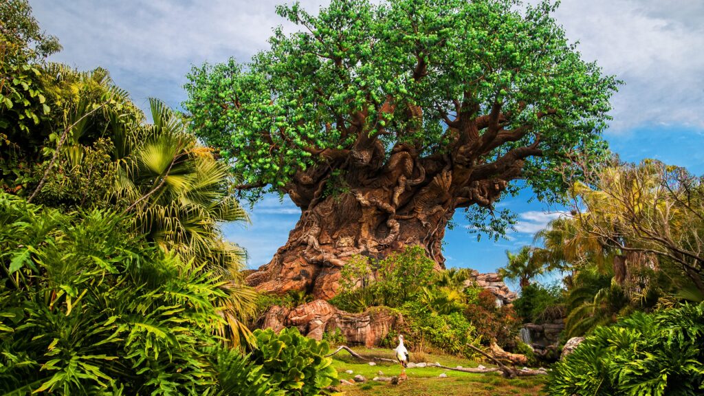 Disney's Animal Kingdom (Photo Credit: Walt Disney World Resort)