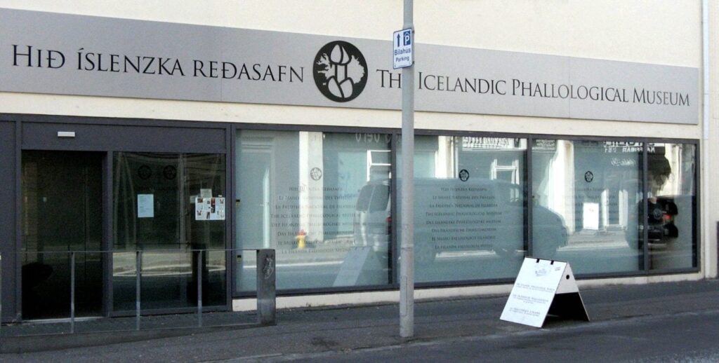  Icelandic Phallological Museum