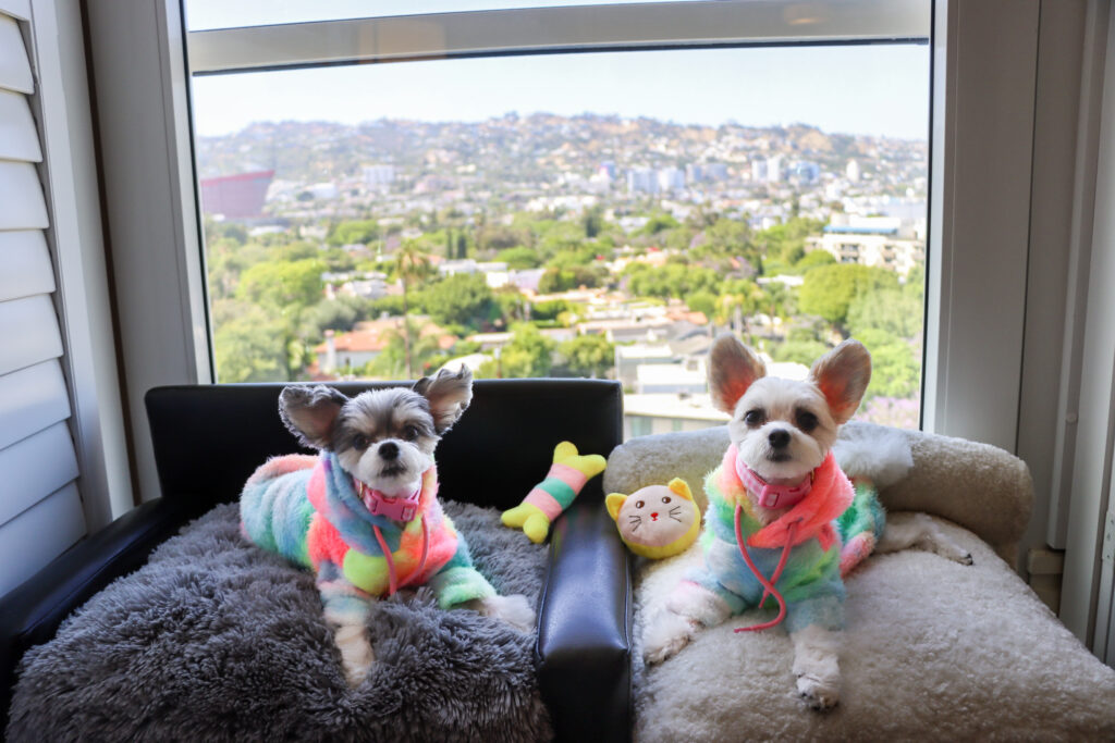 Tinkerbelle and Belle at the Sofitel LA at Beverly Hills (Photo Credit: Sam Carrell)