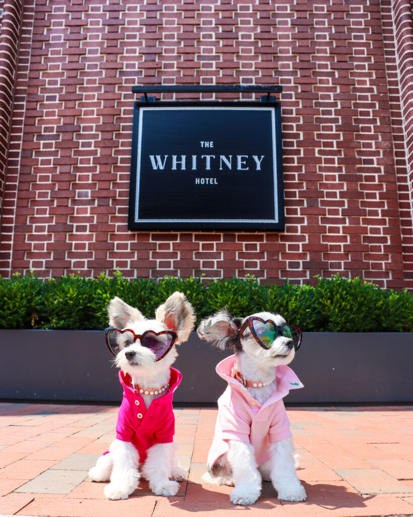 The Whitney Hotel Boston (Photo Credit: Sam Carrell)