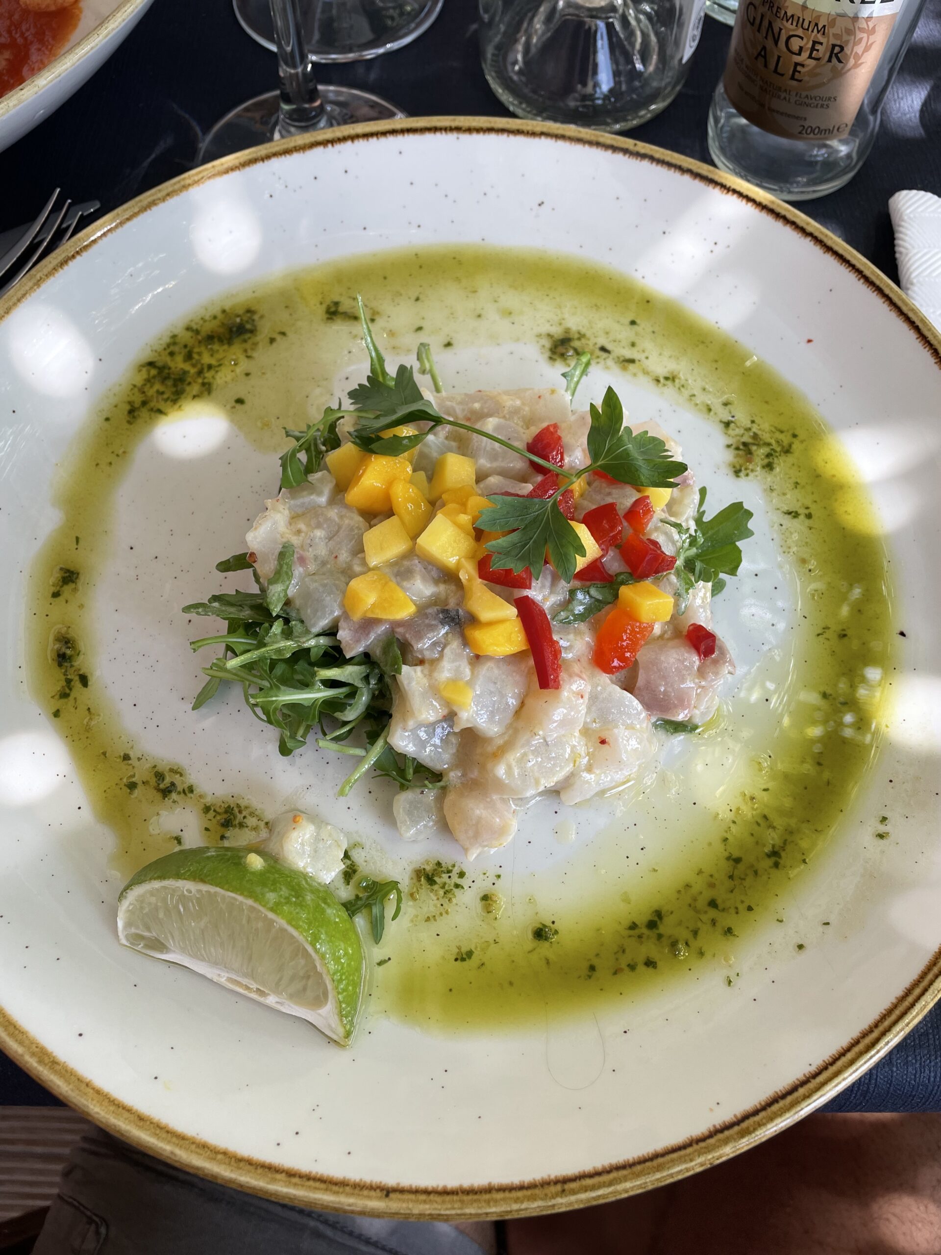 Sea Bream Ceviche at Plage Beau Rivage (Photo Credit: Kwin Mosby)