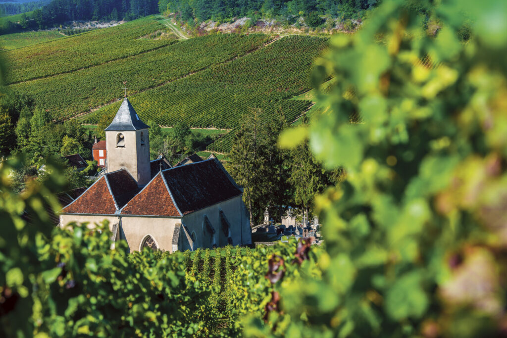 Viviers, Ardèche, France (Photo Credit: Emerald Cruises)