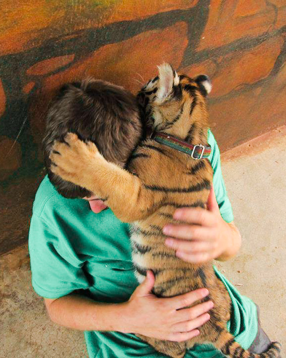 Volunteering in Thailand (Photo Credit: Calum McSwiggan)