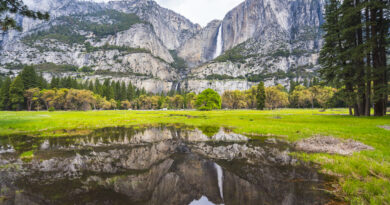 Yosemite National Park (Photo Credit: Joecho-16 / iStock)
