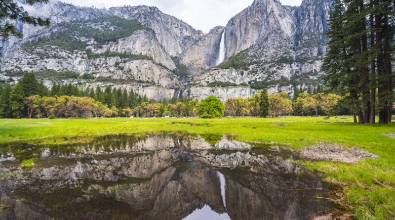 Yosemite National Park (Photo Credit: Joecho-16 / iStock)
