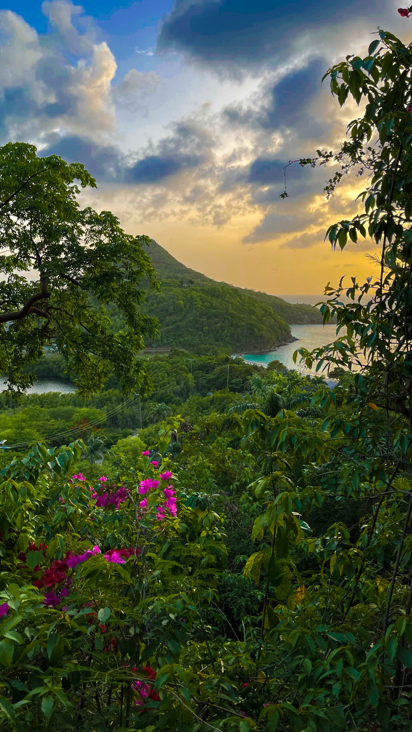 Antigua (Photo Credit: Calum McSwiggan)