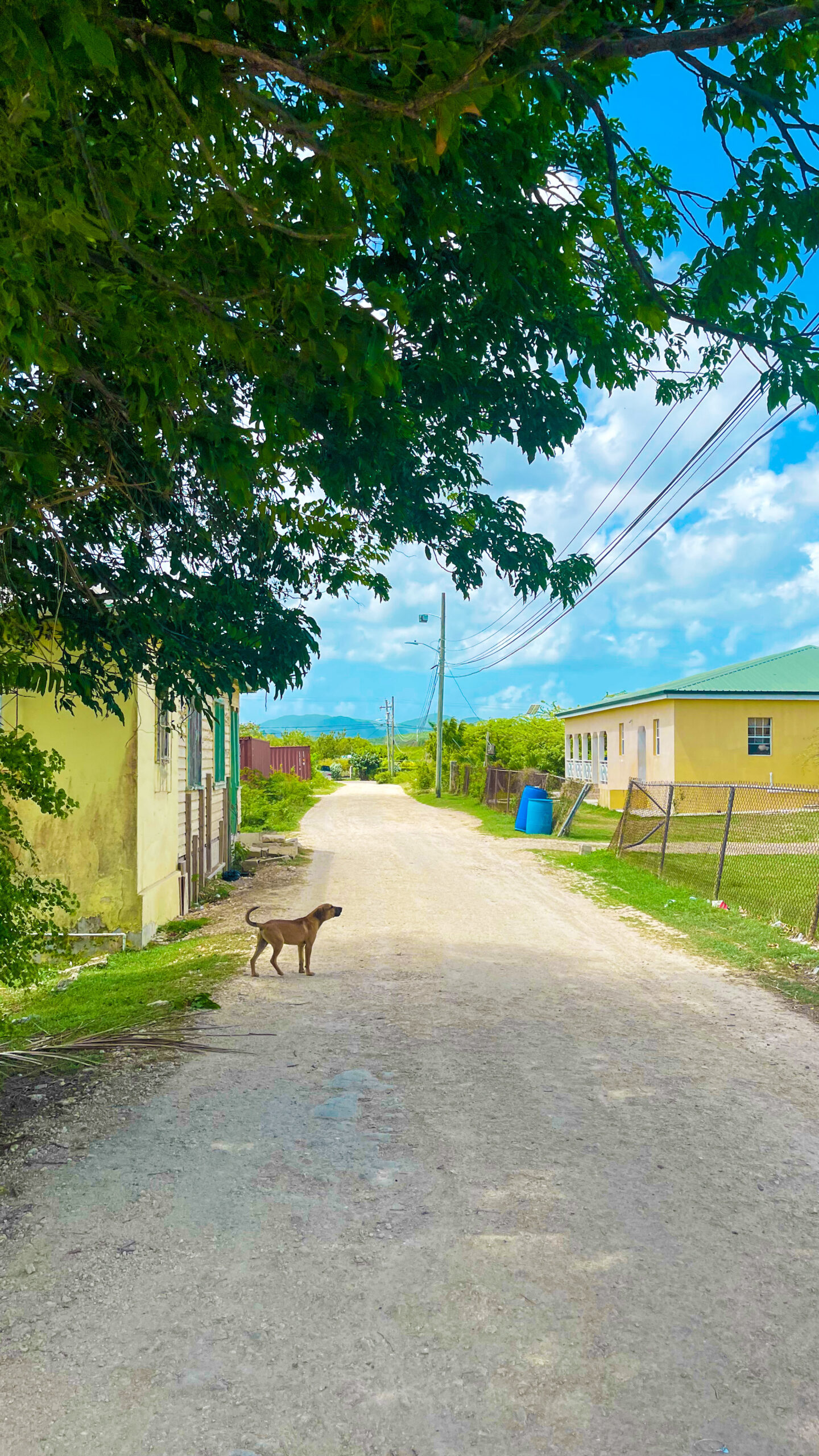 Antigua (Photo Credit: Calum McSwiggan)