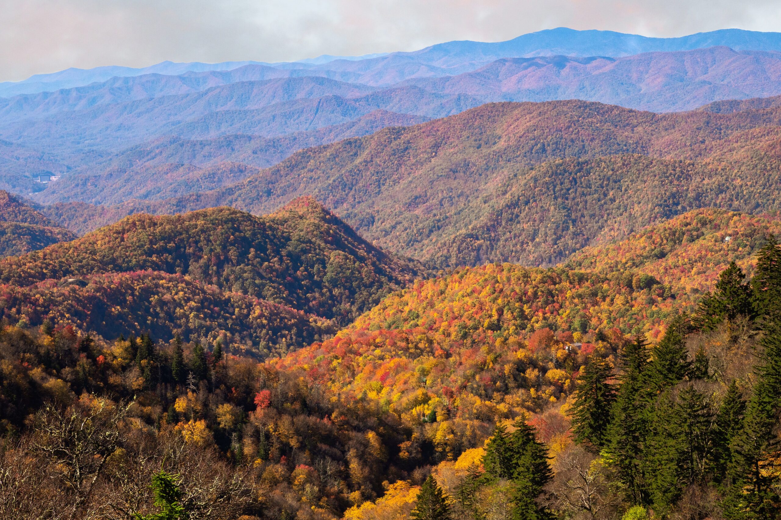 Blue Ridge Mountains (Photo Credit: Bruce Wilson on Unsplash)