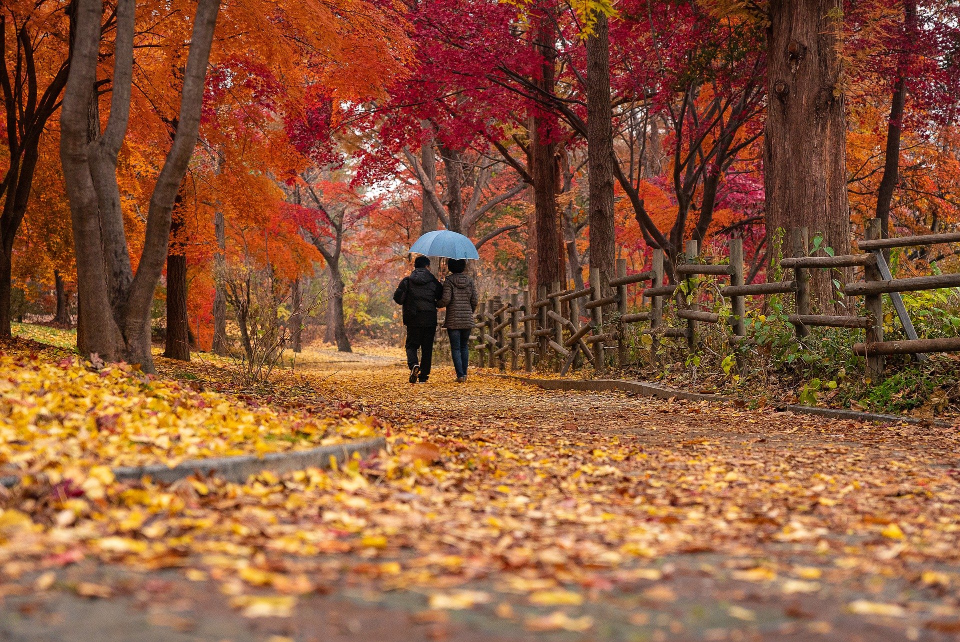 Surprising Fall Travel Trends