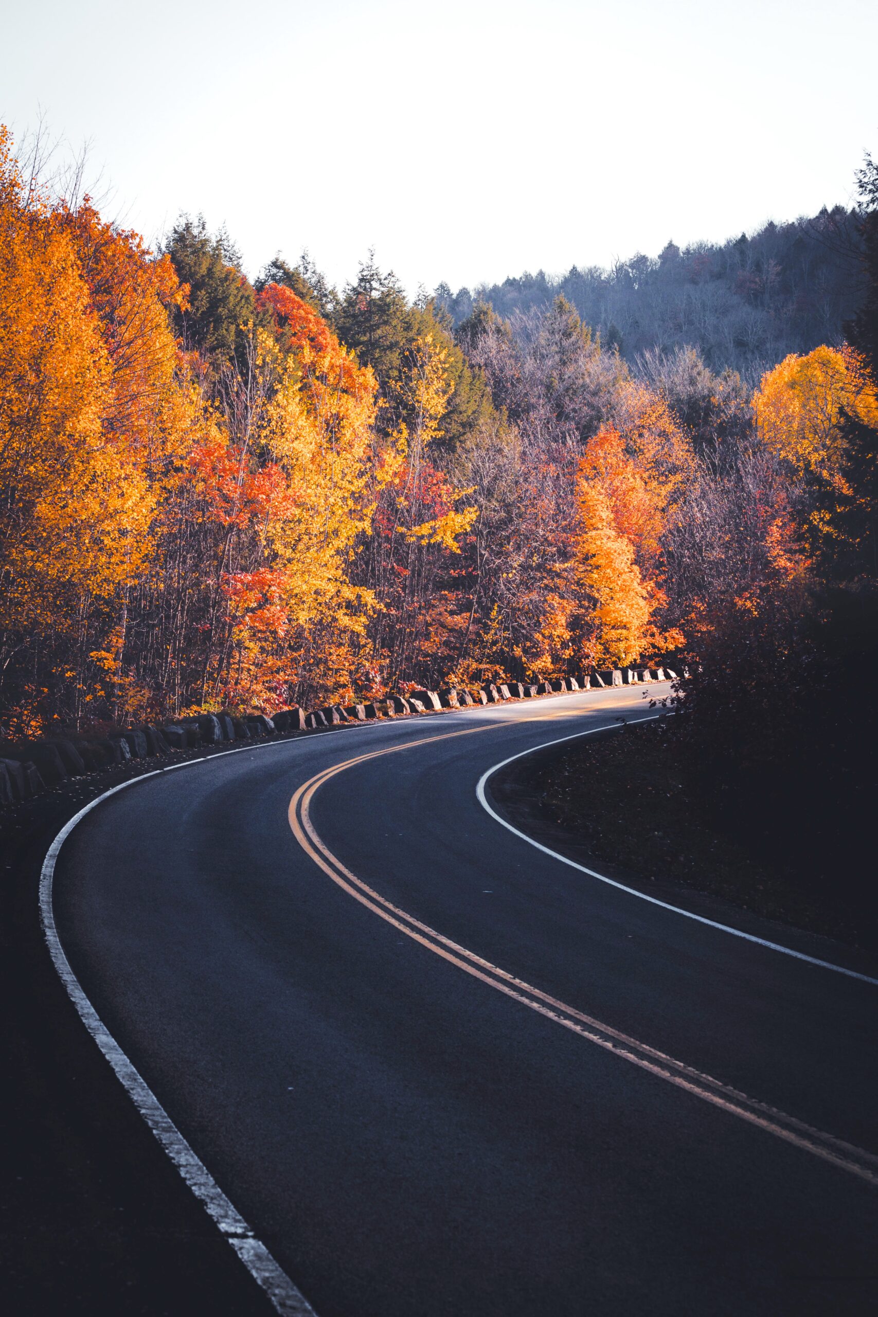 Lake George, New York (Photo Credit: Photo by Dan Mall on Unsplash)