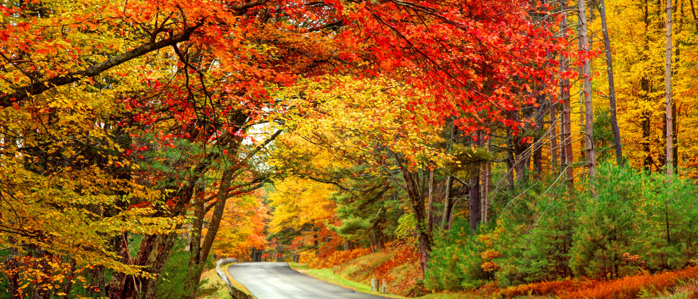 Fall Foliage Road Trips (Photo Credit: DenisTangneyJr / iStock)
