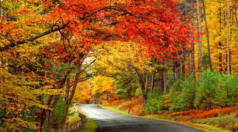Fall Foliage Road Trips (Photo Credit: DenisTangneyJr / iStock)