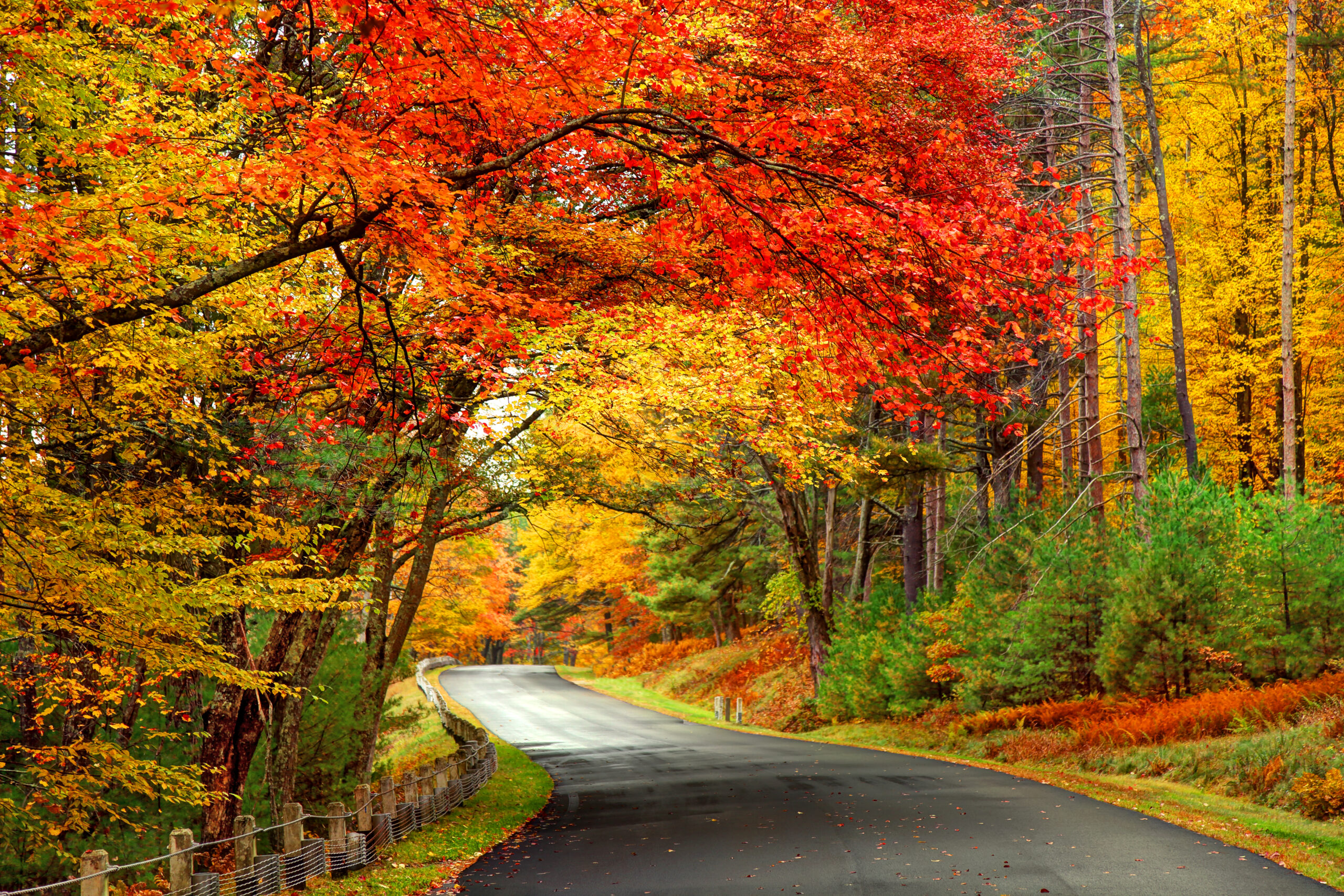 6 Scenic Road Trips to See Colorful Fall Foliage