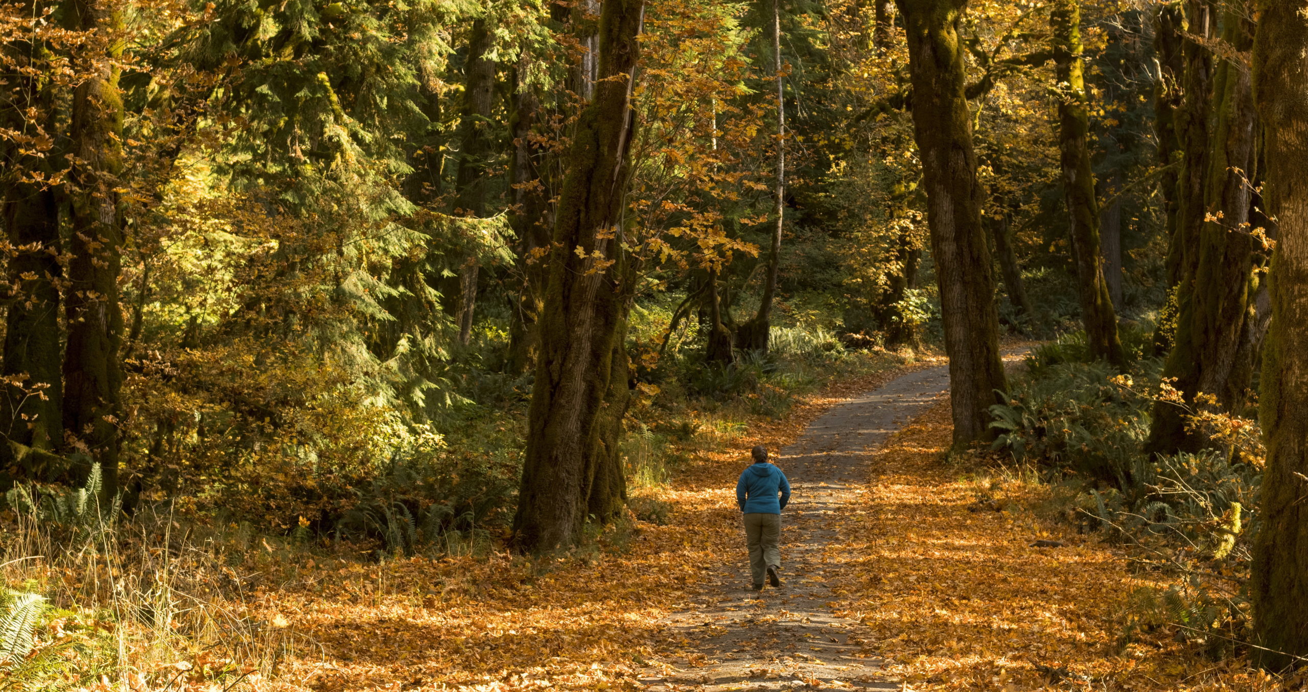 (Photo Credit: Olympic National Park / NPS)