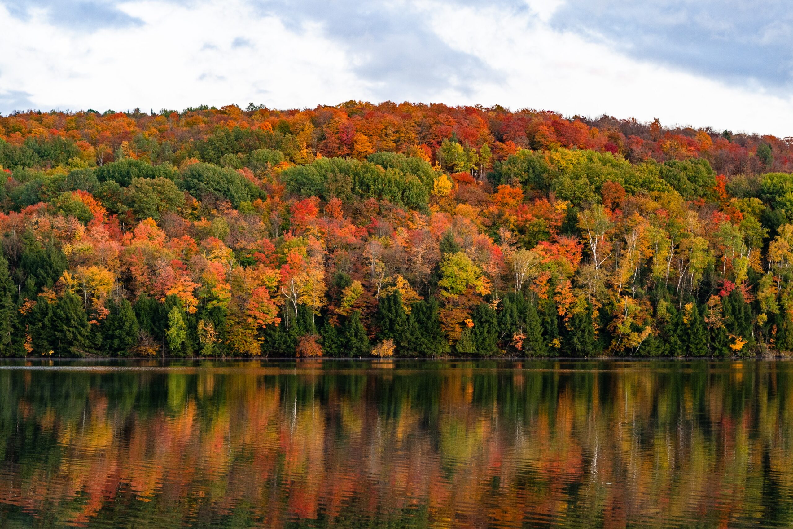 Vermont (Photo Credit: Peter James Eisenhaure for Unsplash)