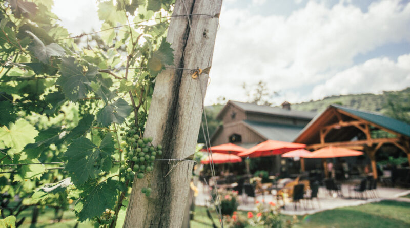 Grandfather Vineyard & Winery (Photo Credit: Explore Boone)