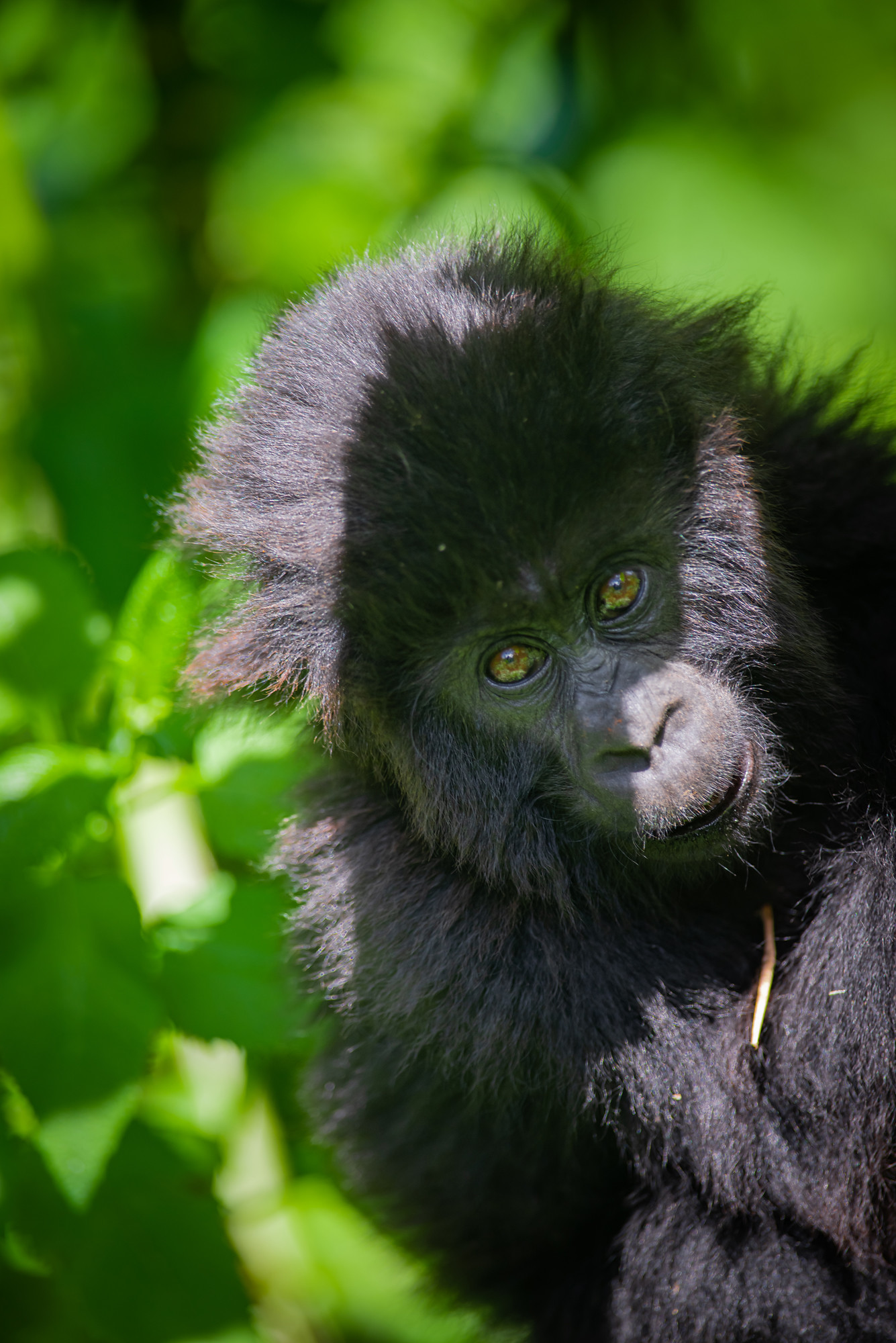 Imararungu (Photo Credit: Visit Rwanda)