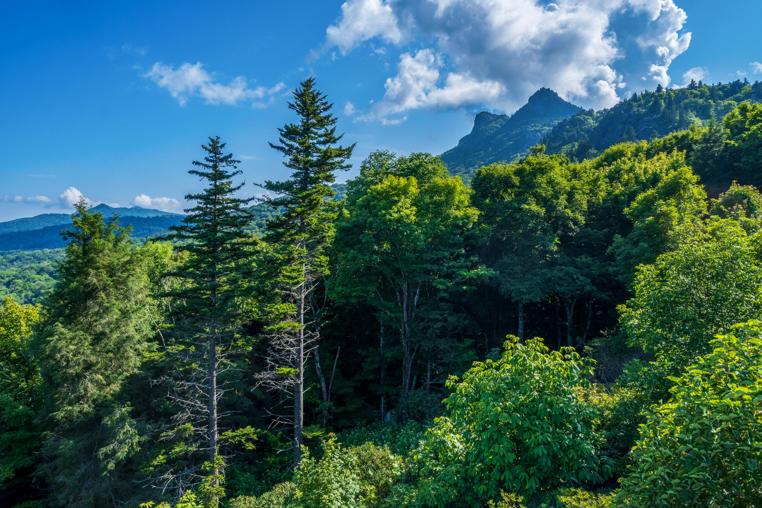 Grandfather Mountain (Photo Credit: Grandfather Mountain Stewardship Foundation)