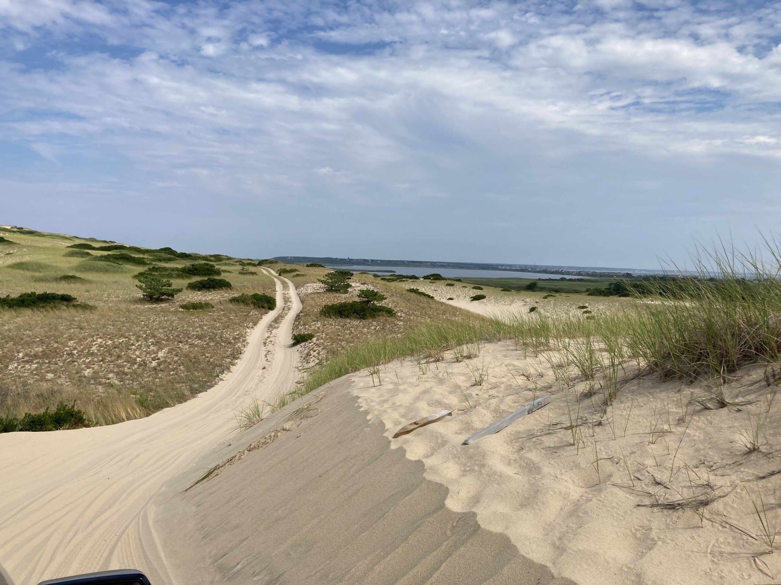 Art's Dunes Tours (Photo Credit: Kelsy Chauvin)