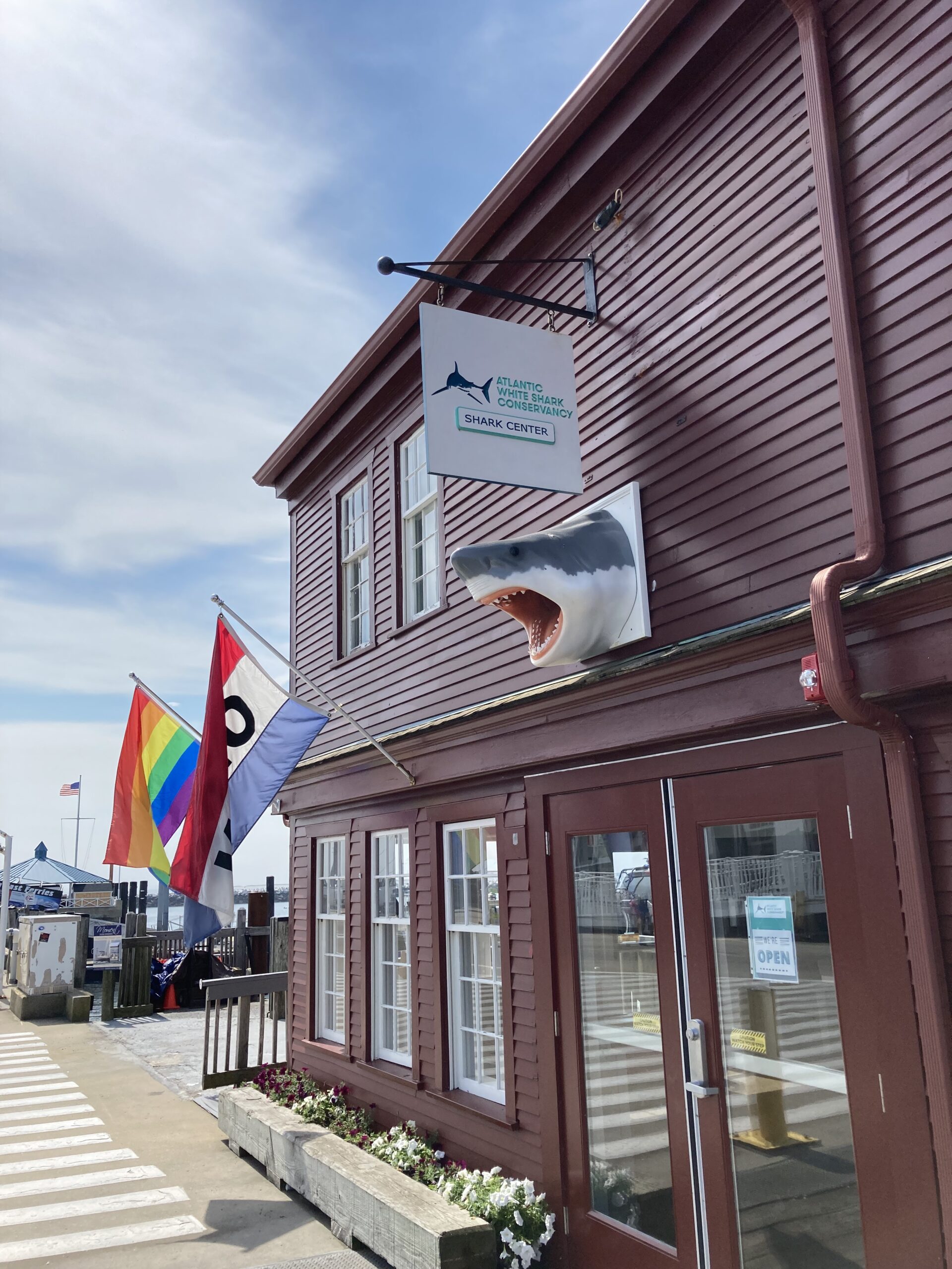 Atlantic Shark Center (Photo Credit: Kelsy Chauvin)