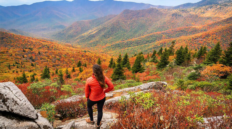 (Photo Credit: VisitAsheville.com)