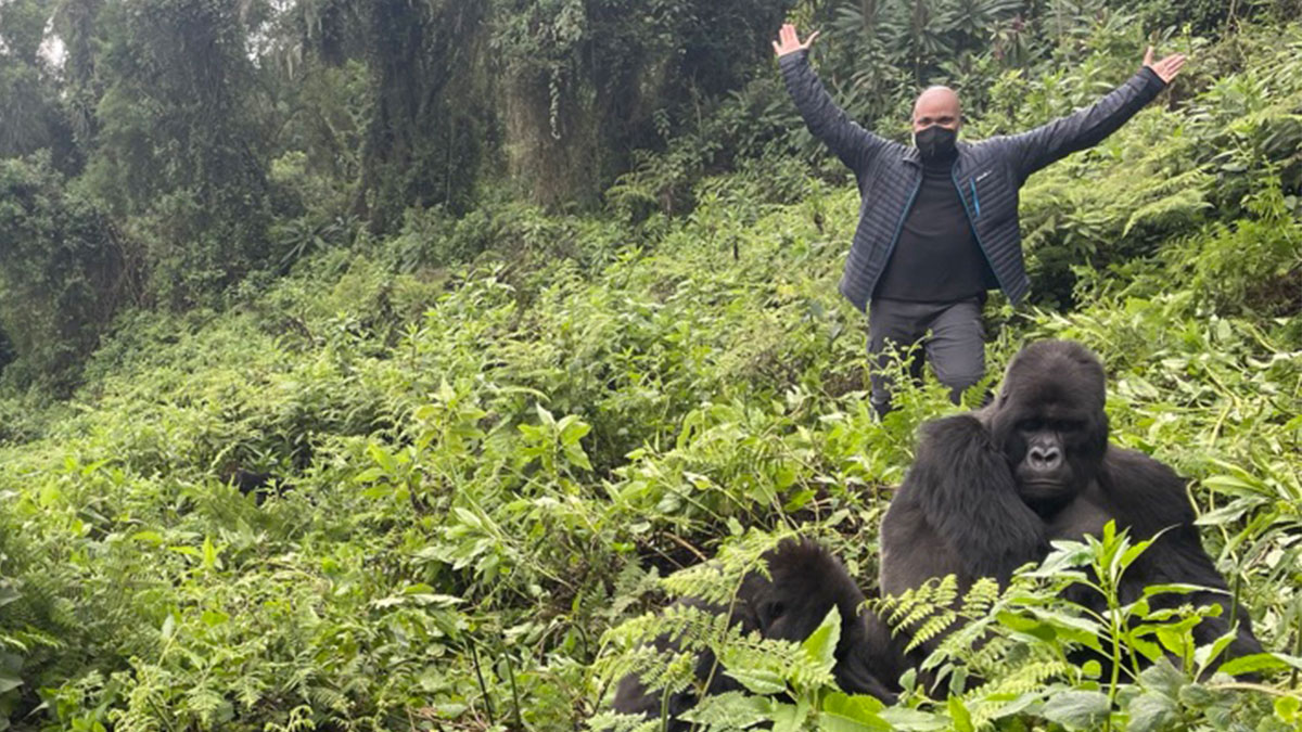 I Went Gorilla Trekking in Rwanda – Here’s How I Did It!