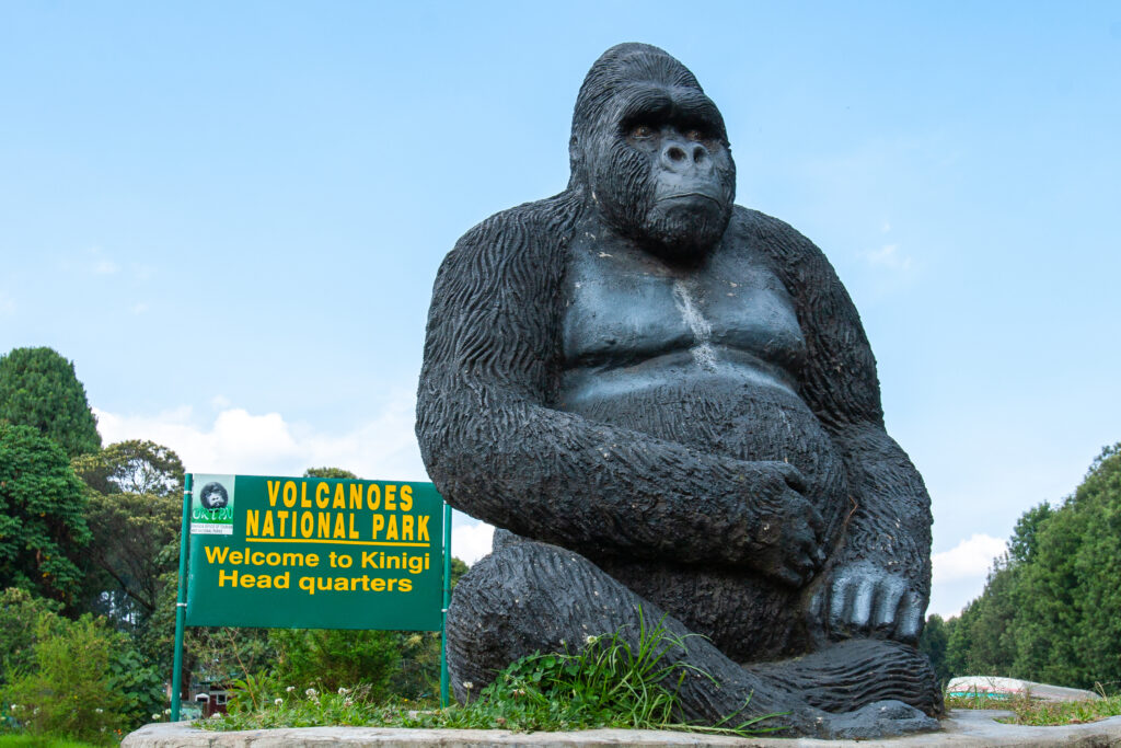 Volcanoes National Park Kinigi Headquarters (Photo Credit: MilanoPE / Shutterstock)